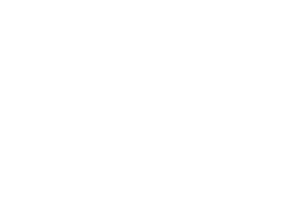 Google Partner